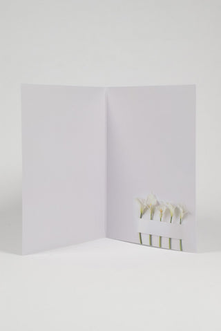 interno biglietto pensione con fiori