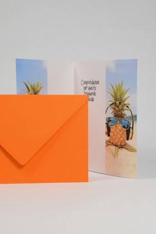 interno biglietto pensione ananas con busta arancione