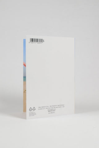 retro biglietto pensione ananas