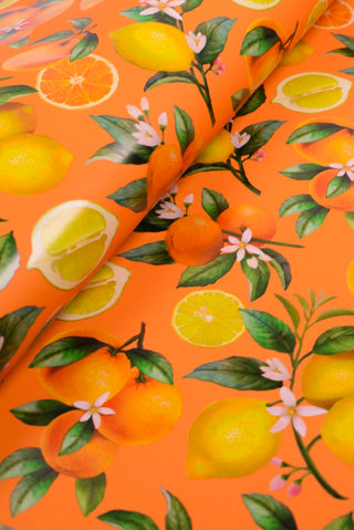 Carta regalo agrumi e fiori elegante per ogni occasione - Set 4 fogli
