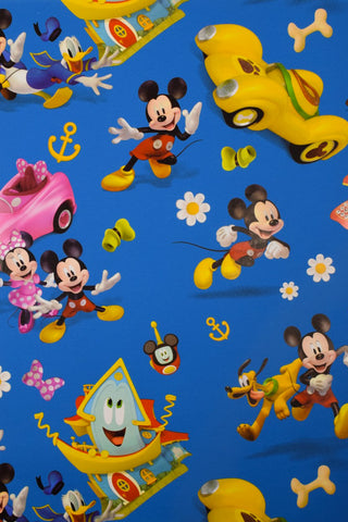 carta regalo disney blu mickey e minnie