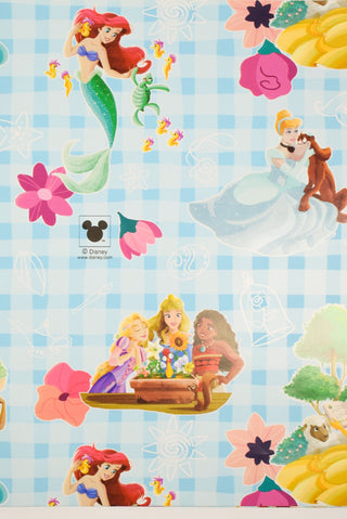 carta regalo principesse disney azzurra quadrati