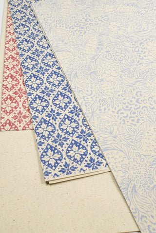 carta regalo erba assortimeno rosso e blu