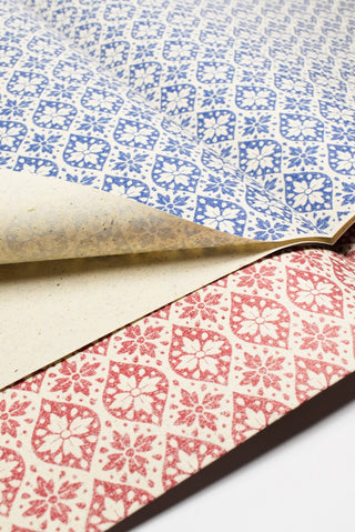 carta regalo erba rossa e blu