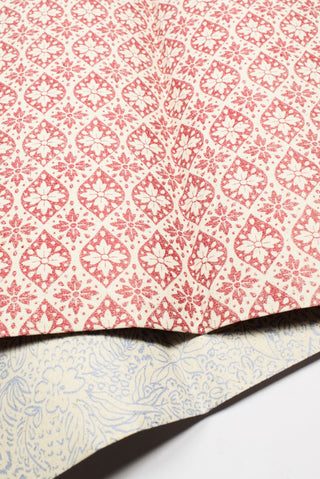 carta regalo erba rossa e azzurra