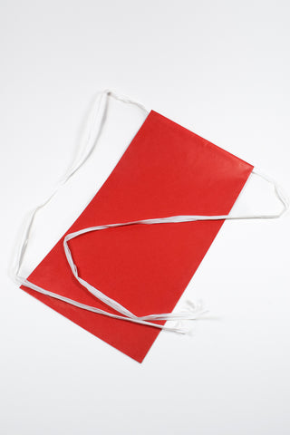 Rex Pack® Rosso - Sacchetto regalo con nastro rafia 20x35 - Set 4 pz