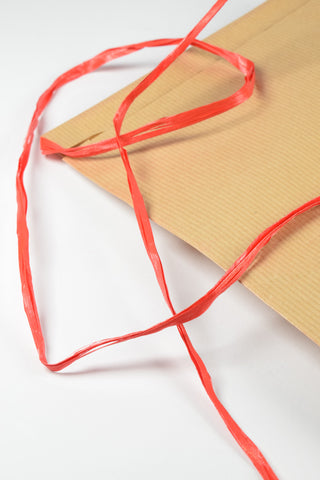 Rex Pack Avana 26x40 - Busta regalo eco nastro rosso  - Set 4 pz