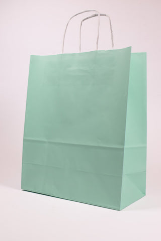 Borse Regalo Carta Verde Menta Pastello 22x10x27 - Set 5 pz